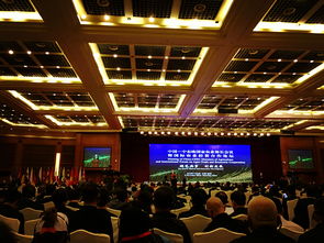 云大学子闪耀第十四届中国国际农业盛会 以青春服务，展志愿风采